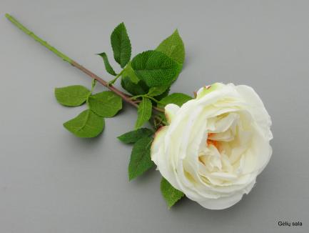 Rose  White