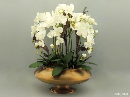 Dirbtinių orchidėjų kompozicija balta