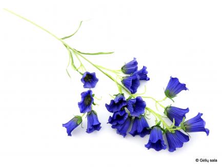 Dirbtinė gėlė - katilėlis mėlynas
