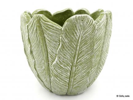 Keramikinis vazonas žali lapai
