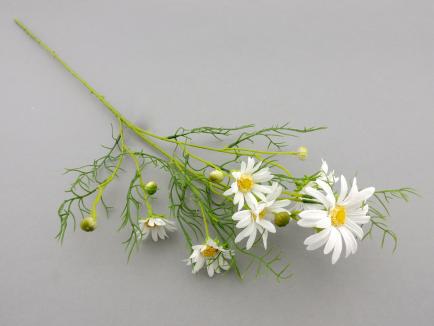 Dirbtinė gėlė - baltagalvė