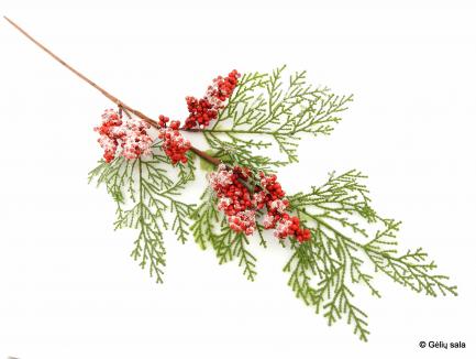 Red berry with Pine needle branch