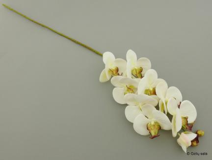 Dirbtinė gėlė - orchidėja Phalaenopsis