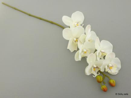 Phalaenopsis Orchid Spray Latex7