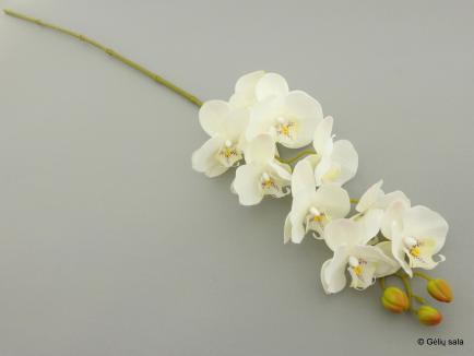 Phalaenopsis Orchid Spray Latex9
