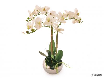 Dirbtinė gėlė - orchidėja vazone (3 šakų)
