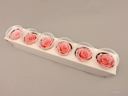 Stabilizuota rožė KIARA XL rožinė