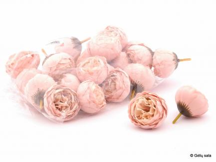 Rožės žiedas šviesiai rožinis
