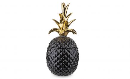 Keramikinis indas ananasas