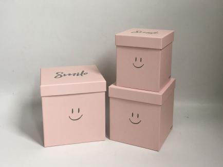 Gėlių dėžutė 3d. kvadratinė rožinė SMILE