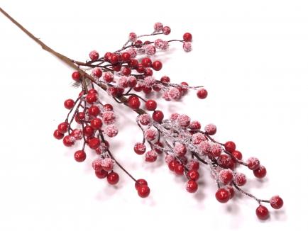 Red berry branch w snow
