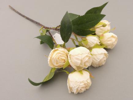 Rožių šakelė white
