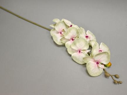 Dirbtinė orchidėja
