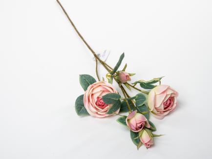 Rožių Šaka