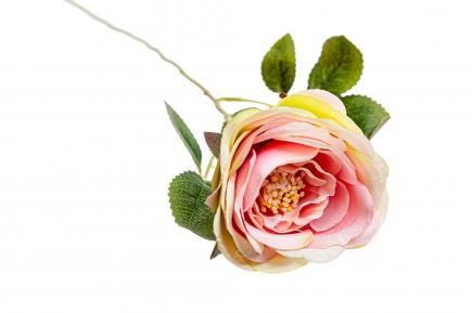 Rožės šakelė GR.PINK