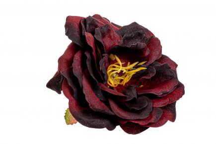 Rožės žiedas BLACK RED
