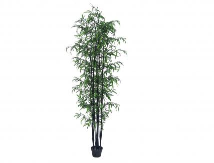 Dirbtinis augalas Bambukas vazone 