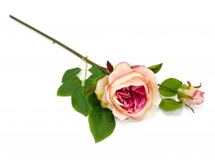 Rožės šaka CR.PINK