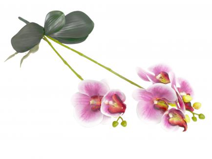 Dirbtinė gėlė - orchidėja su lapais