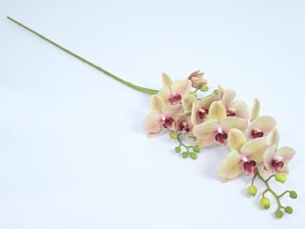 Dirbtinė gėlė - orchidėja Phalaenopsis