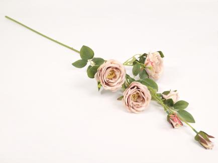 Rožės šaka CR.PURPLE